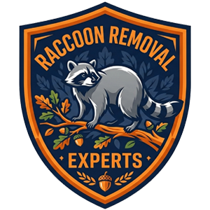 Huntsville Raccoon Removal